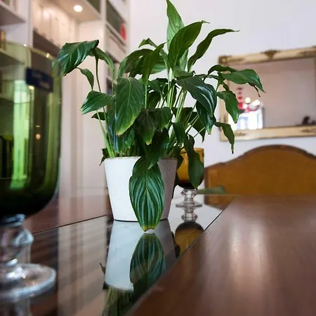Stamira Luxury House Apartment Rom